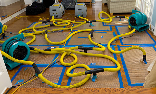 Professional Crawl Space Water Removal technician working in Port Saint Lucie, FL